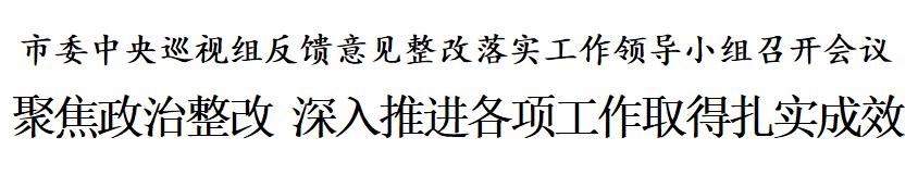 天津：聚焦政治整改 深入推进各项工作取得扎实成效