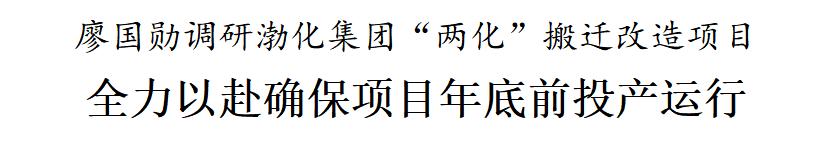 廖国勋调研渤化集团“两化”搬迁改造项目